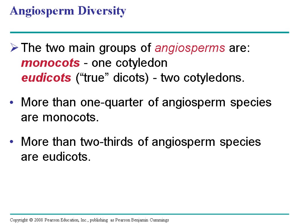 Angiosperm Diversity The two main groups of angiosperms are: monocots - one cotyledon eudicots